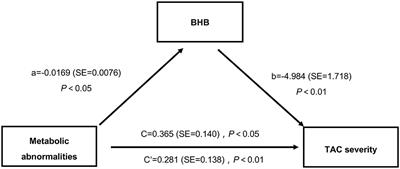 β-Hydroxybutyric Inhibits Vascular Calcification via Autophagy Enhancement in Models Induced by High Phosphate